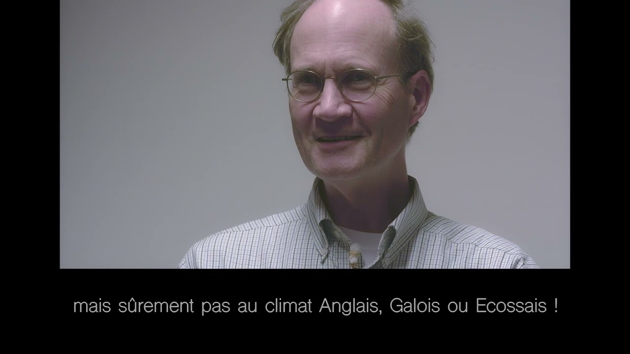 "Abeilles mellifères à l'état sauvage", interview de Thomas Seeley