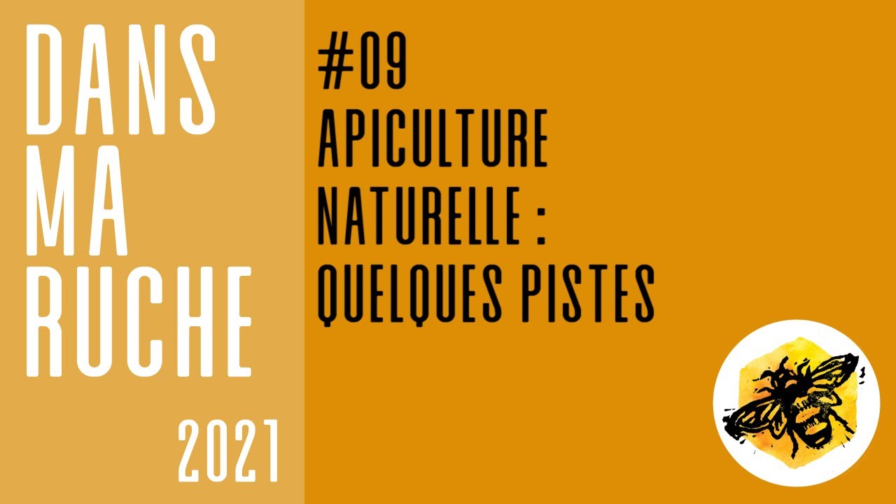 Apiculture naturelle : quelques pistes