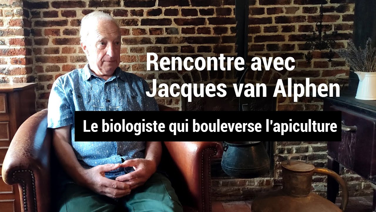Rencontre avec Jacques van Alphen, le biologiste qui bouleverse l'apiculture