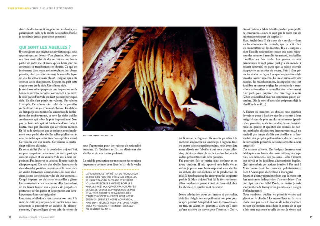 Couverture magazine Abeilles en Liberté