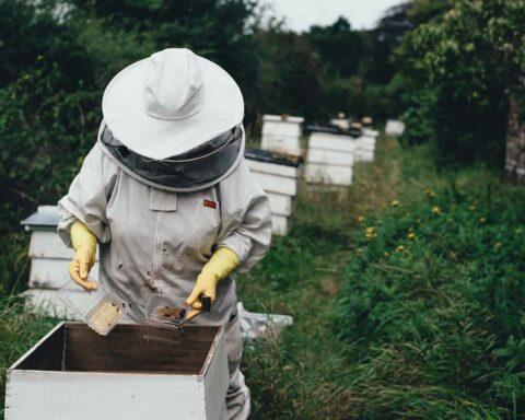 Des dizaines de contributeurs spécialisés dans les alternatives apicoles