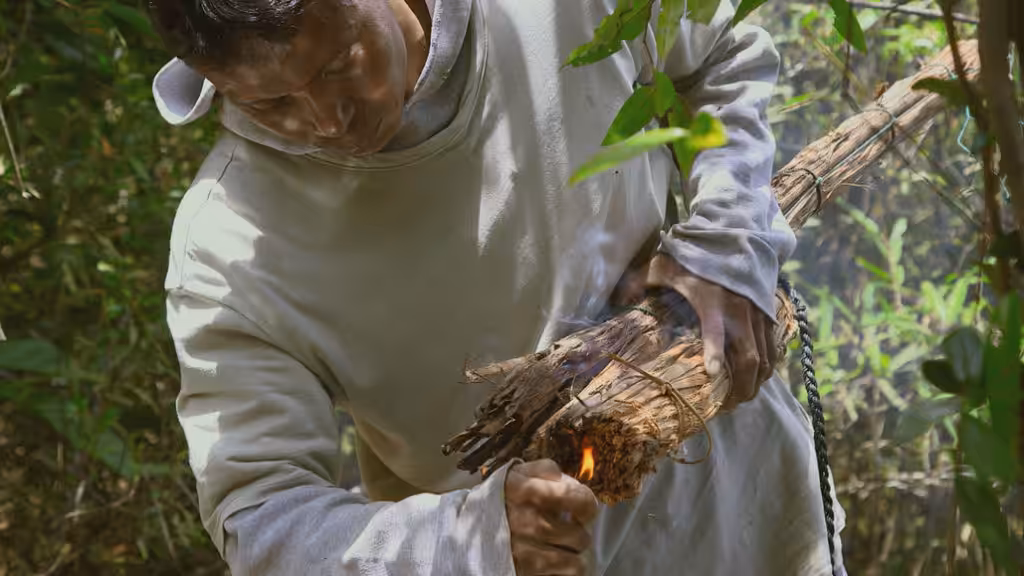 Les maîtres des abeilles