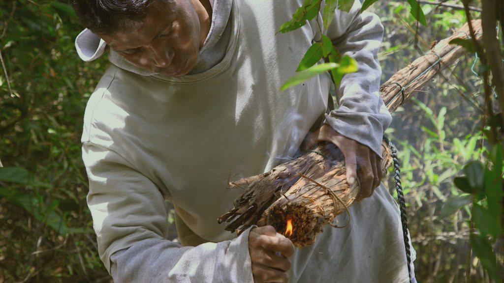 Les maîtres des abeilles 