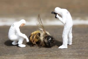 Confessions d’un apiculteur repenti