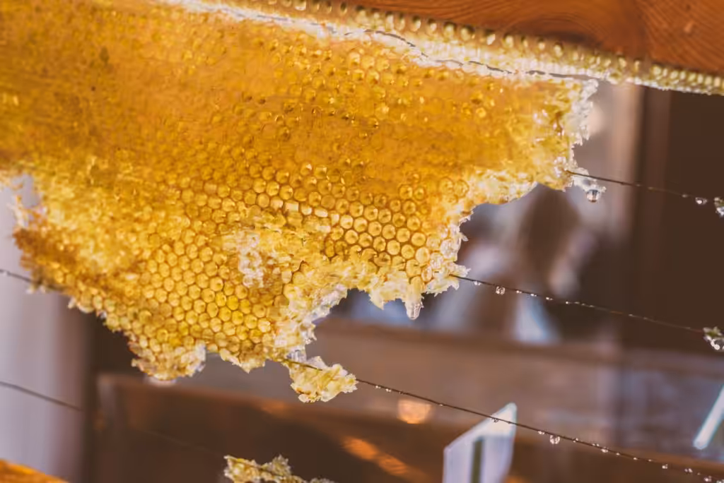 miel naturel abeilles en liberté