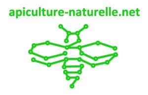 apiculture naturelle réseau