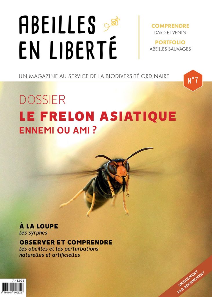 Abeille en liberté 7 aout 2020