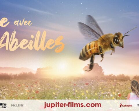 Bannière promo Etre avec les Abeilles