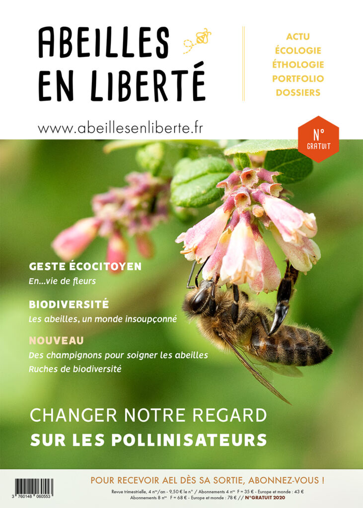 Couverture AEL spécimen gratuit