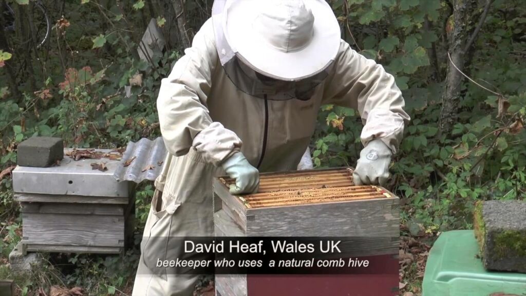David Heaf et ses ruches Warré