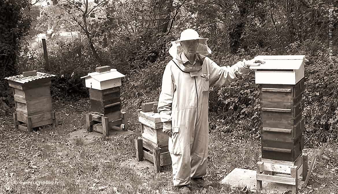 David Heaf, Ruche Warré et résistance des abeilles