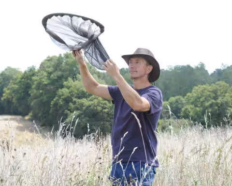 Le professeur Dave Goulson au travail dans une prairie.