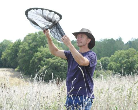 Le professeur Dave Goulson au travail dans une prairie.