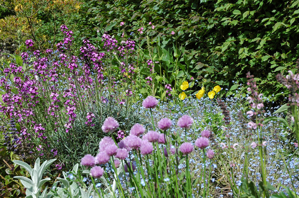 En Europe, Les bourdons et les abeilles sauvages en général souffrent d'un déficit de ressources mellifères (en particulier au niveau de leur diversité), et ne disposent pas de suffisamment de lieux sauvages de nidification.