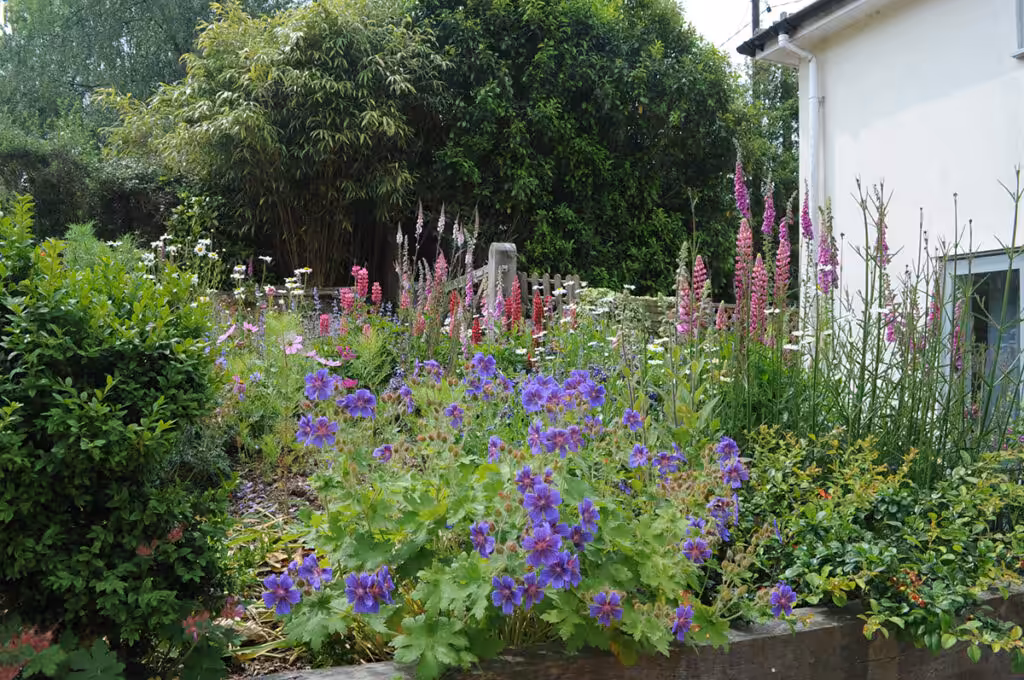 Pour trouver le juste équilibre entre une ruche au jardin et la pérennisation des populations de bourdons, il faut des fleurs diversifiées et nombreuses pour les différentes saisons.