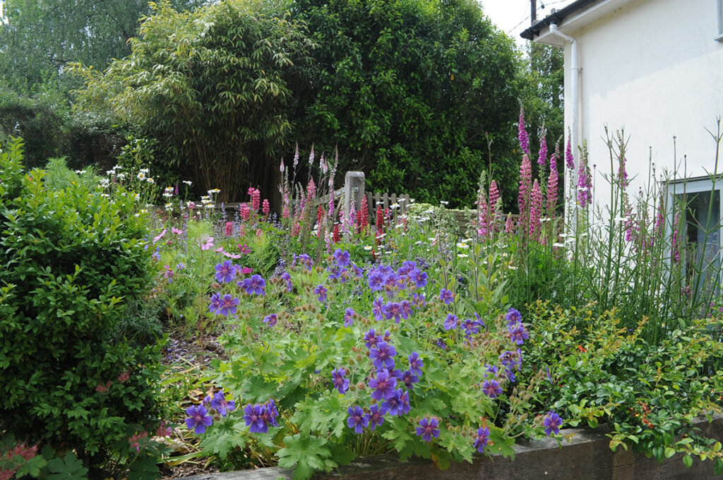 Pour trouver le juste équilibre entre une ruche au jardin et la pérennisation des populations de bourdons, il faut des fleurs diversifiées et nombreuses pour les différentes saisons.