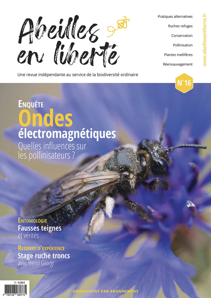 Abeilles en liberté n°16 COVER