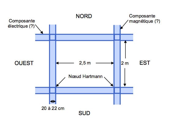 Réseau de Hartmann