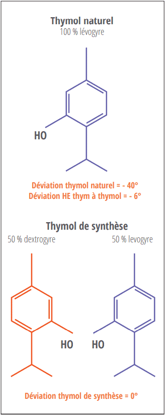 Thymol naturel lévogyre et molécule de thymol de synthèse lévogyre plus dextrogyre