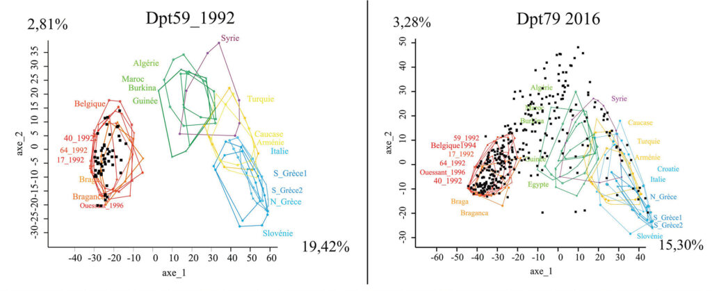Évolution de la structure 
génétique des populations au cours 
du temps. Comparaison entre la 
population du Nord échantillonnée 
en 1992 et des Deux-Sèvres échantillonnée en 2016. Les contours 
des populations de référence des 
lignées M, A, C et O sont respectivement en rouge, vert, bleu et jaune. 
Chaque carré noir représente une 
abeille. Le nuage de 2016 couvre 
quasi totalement la diversité de 
l’espèce. 