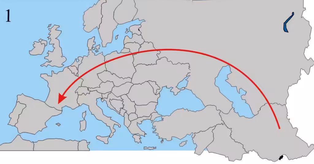 Il y a un million d’années, les abeilles colonisent l’Europe par le nord à partir de leur centre de dispersion situé au Proche-Orient. Bloquées par les chaînes de montagnes elles ne colonisent pas la région nord-méditerranéenne.