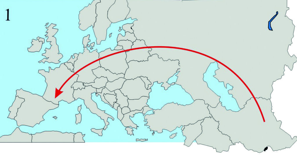 Il y a un million d’années, les abeilles colonisent l’Europe par le nord à partir de leur centre de dispersion situé au Proche-Orient. Bloquées par les chaînes de montagnes elles ne colonisent pas la région nord-méditerranéenne.