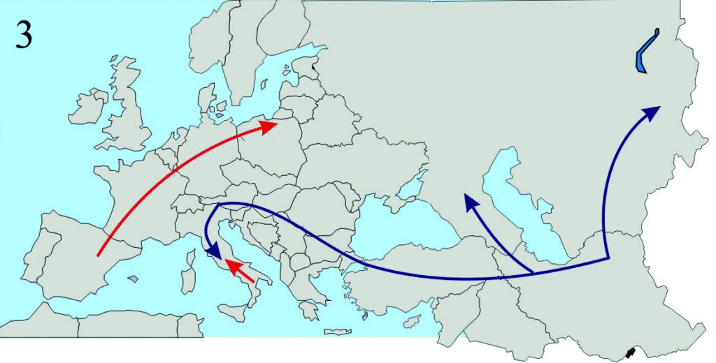 3 - Pendant la période interglaciaire, les abeilles ont sans doute recolonisé une partie de l’Europe en contournant les chaînes de montagne. Cette reconstitution est hypothétique car l’étape 4 va effacer toute trace de cette recolonisation. Notez que c’est probablement durant cette période que les abeilles colonisent la région nord-méditerranéenne.