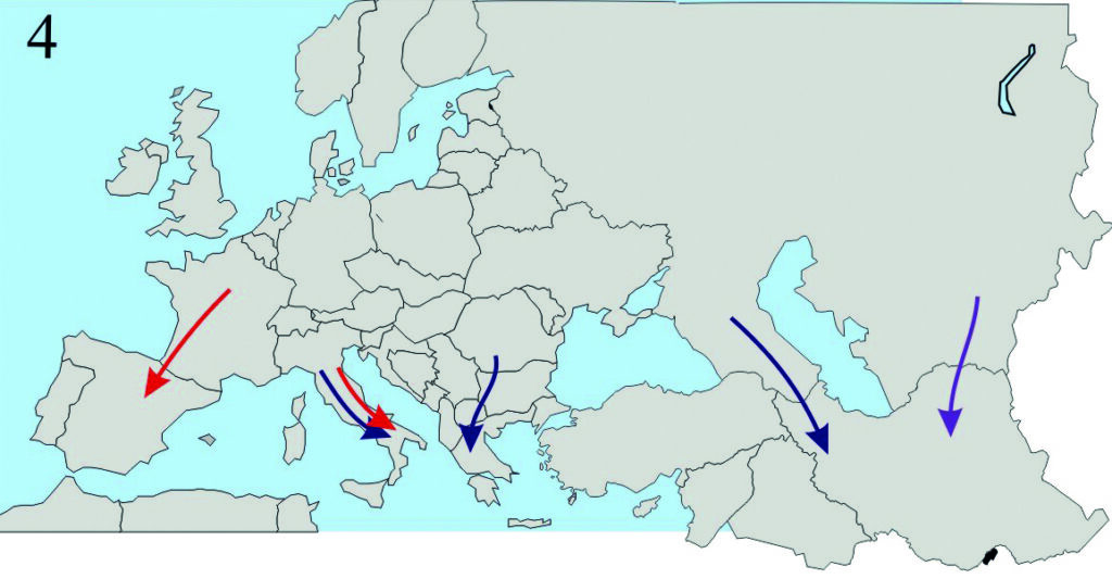 Glaciation de Wurm (–70 000 à –10 000 ans). La calotte glaciaire descend jusqu’aux côtes de l’Angleterre. Les abeilles trouvent à nouveau refuge au sud, mais cette fois dans 4 zones différentes (Espagne, Italie, Grèce et Caucase).