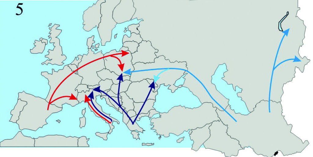 Recolonisation finale aboutissant à la situation actuelle de répartition des lignées. C’est pendant cette recolonisation que les abeilles vont s’adapter progressivement au climat tempéré froid de l’Europe du Nord et former les différentes races.