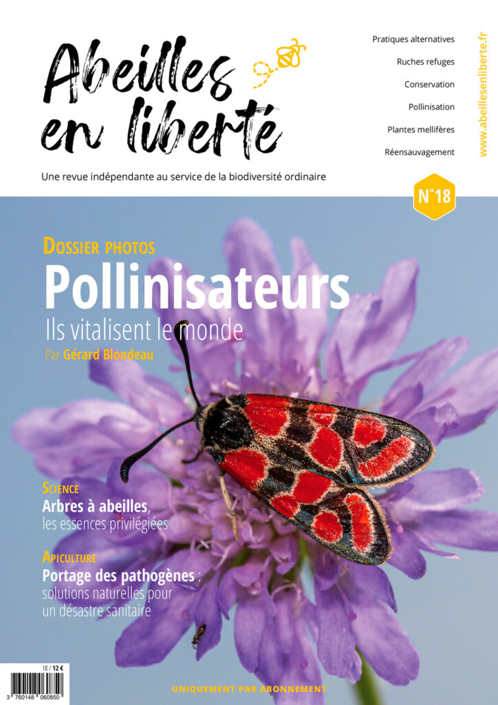 Abeilles en liberté n°18 COVER