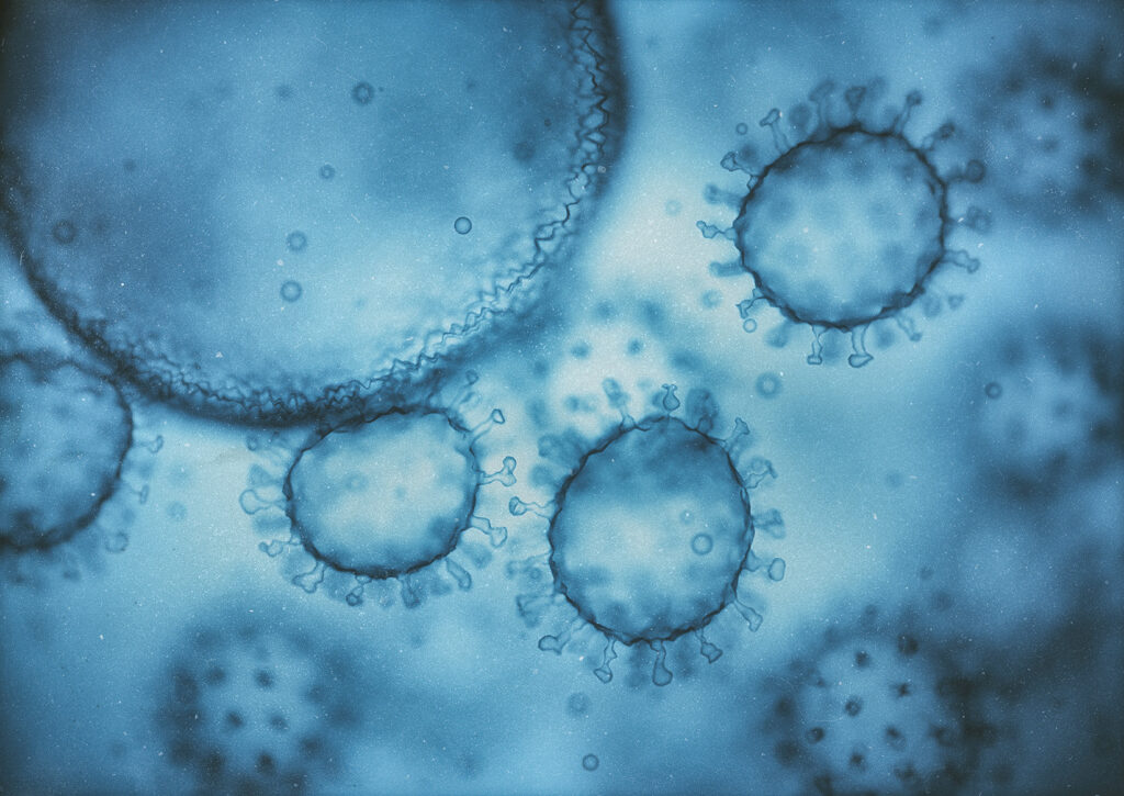 Les virus sont des particules à la limite du monde vivant, qui ne peuvent exister et se multiplier qu'à l'intérieur d'une cellule qu'ils parasitent.