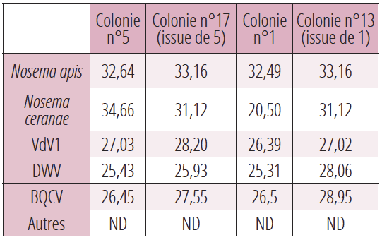 Recherche pathogènes sur colonies mères/filles