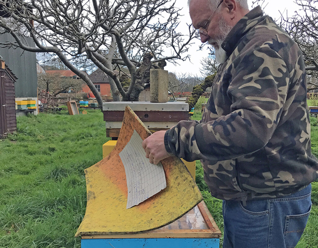 Keith Pierce à Dublin 
 « maître » éleveur 
et conservateur de l’abeille native 
irlandaise. ©Vincent Douarre