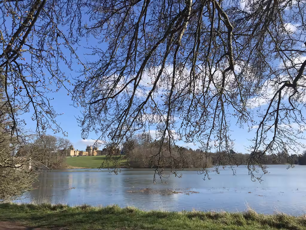 Le palace de Blenheim vu de la lisère de la forêt protégée, des centaines d’années de soins et d’entretien pour garder le sauvage comme patrimoine britannique reconnu. ©Vincent Douarre