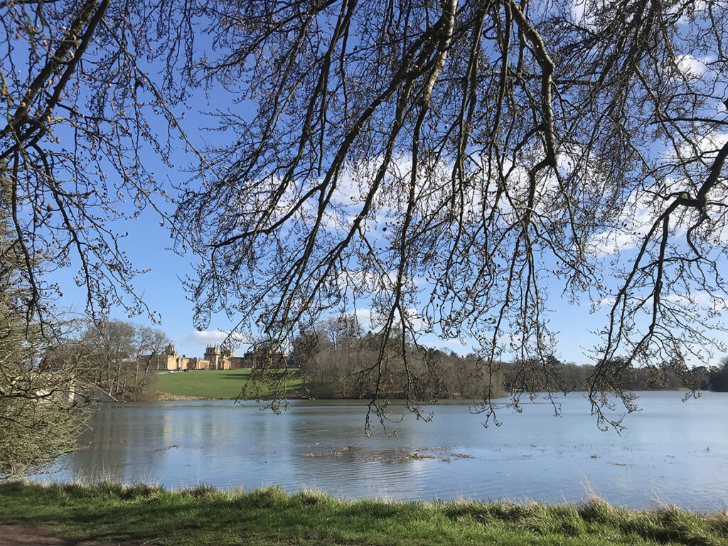 Le palace de Blenheim vu de la lisère de la forêt protégée, des centaines d’années de soins et d’entretien pour garder le sauvage comme patrimoine britannique reconnu. ©Vincent Douarre