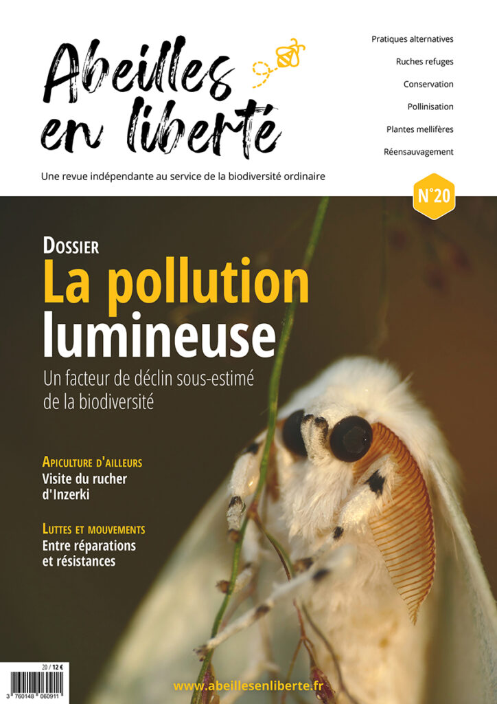 Abeilles en liberté n°20