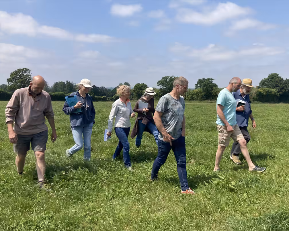 Une sortie sur les parcelles des agriculteurs afin de faire le point ensemble sur leurs apports aux pollinisateurs et les moyens de les encourager encore plus. Photo : ©Association Pistil