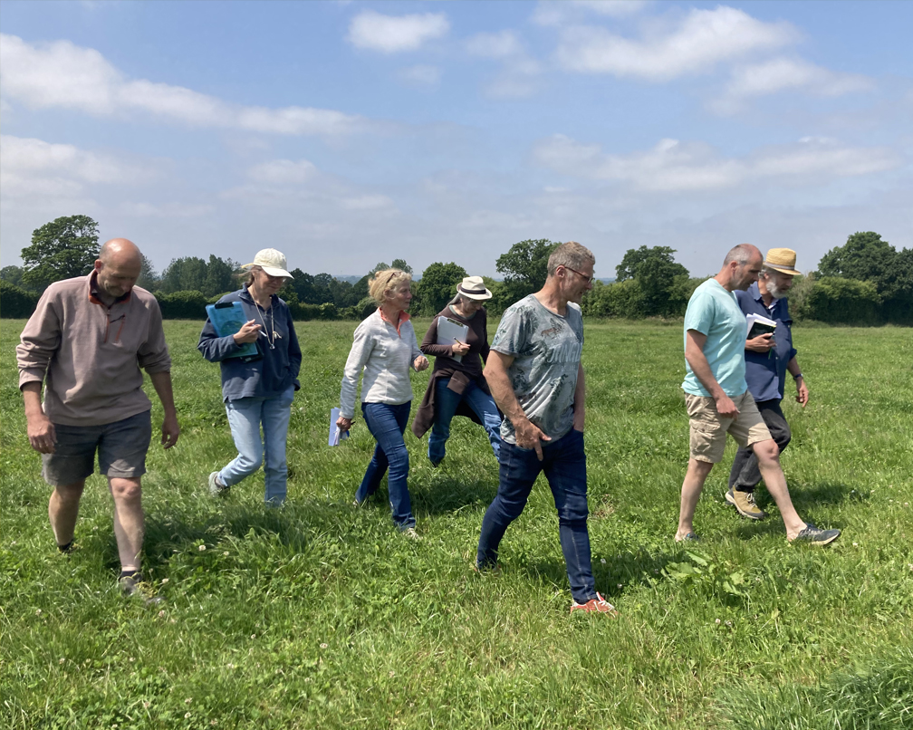 Une sortie sur les parcelles des agriculteurs afin de faire le point ensemble sur leurs apports aux pollinisateurs et les moyens de les encourager encore plus. Photo : ©Association Pistil