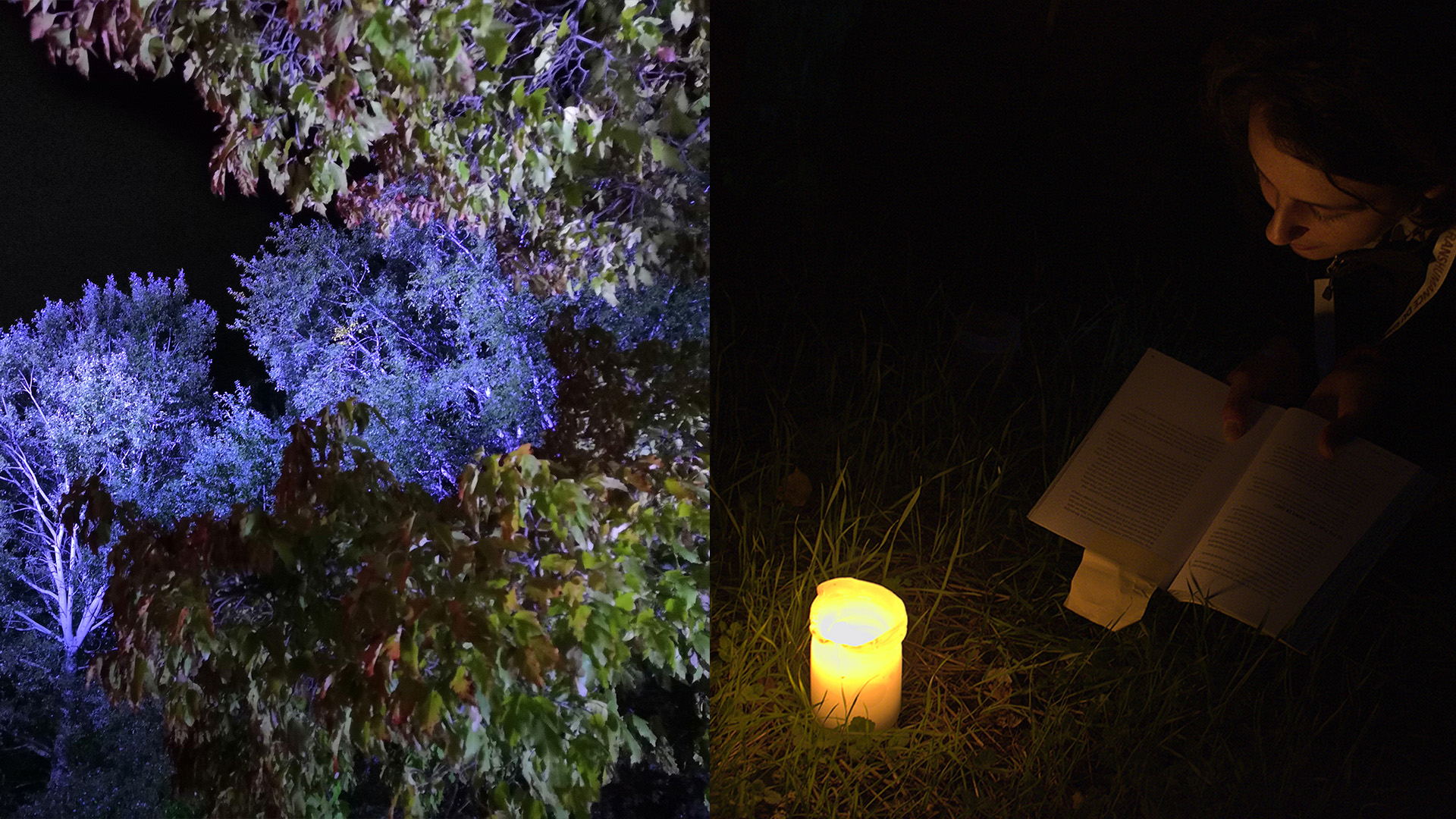 Les nuits en forêt proposées par Nature et Sens et la forestière Pascale Laussel ont pour objectif de permettre de faire l'expérience du réel de la nuit. Photo : ©C. Gruet