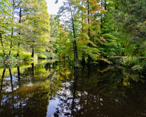 Un parc dans la métropole de Dortmund au Nord-Ouest de l'Allemagne. Photo : ©Adobe Stock