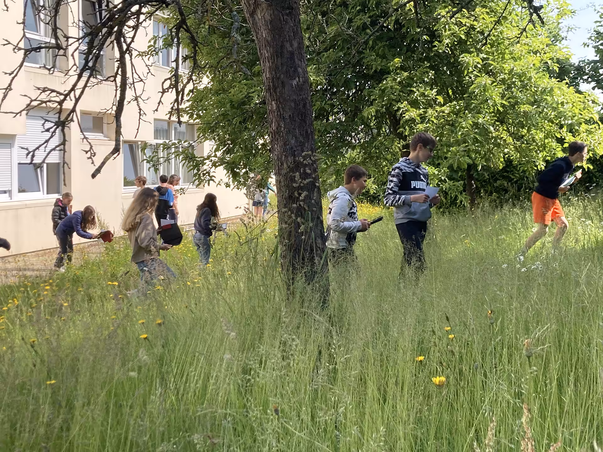 Les collégiens en sortie botanique cherchent les fleurs butinées autour de l'établissement partenaire de Pistil.
Photo : ©Association Pistil