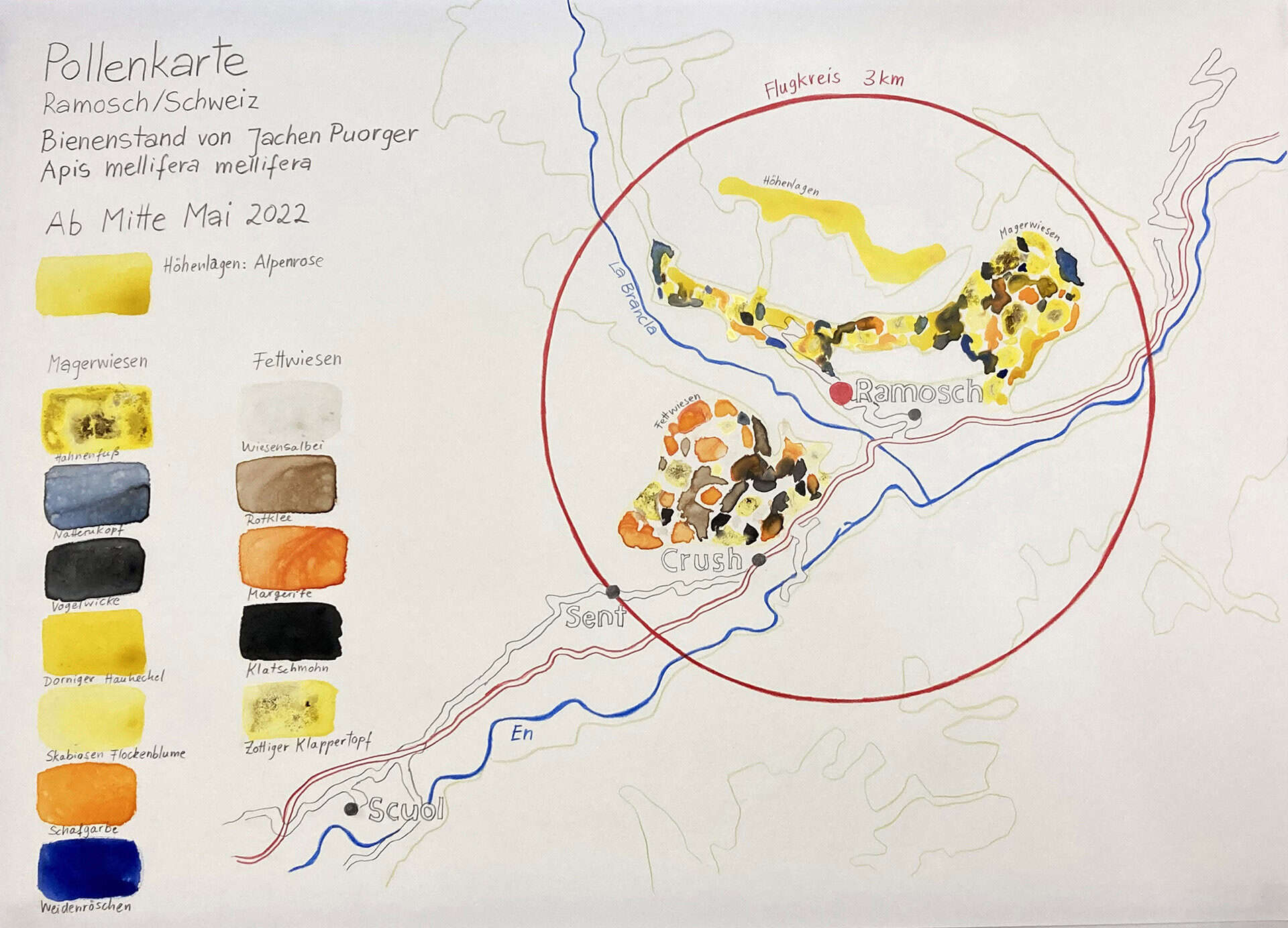 Pollen-map-schweiz-may22-rothhaar