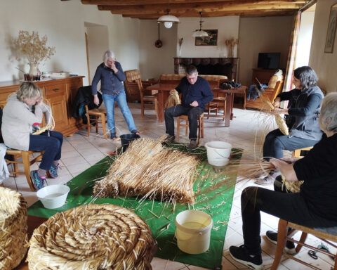 Stage ruche tronc en Ardèche