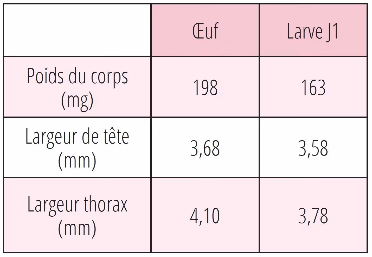 Différences morphologiques entre reines issues d’un œuf ou d’une larve de J1.