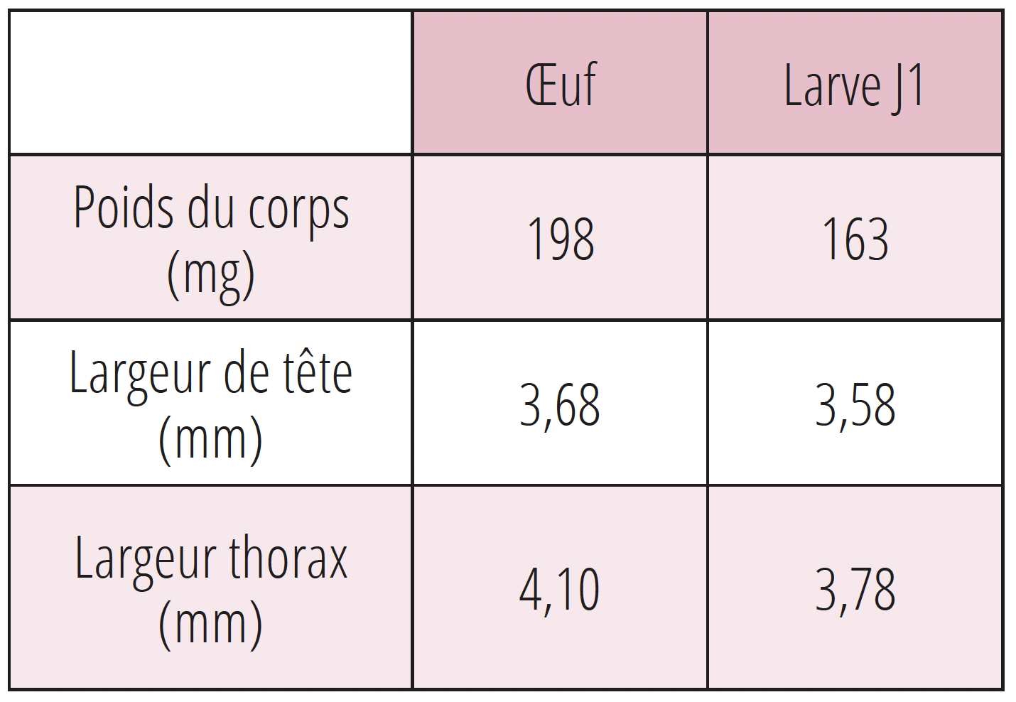 Différences morphologiques entre reines issues d’un œuf ou d’une larve de J1.