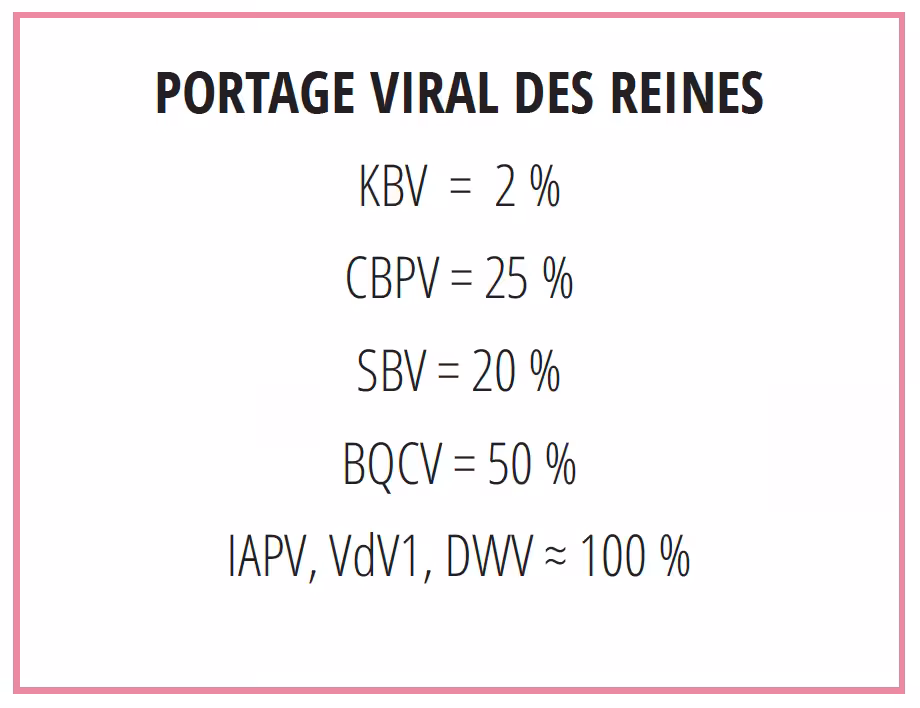 Portage viral des reines.