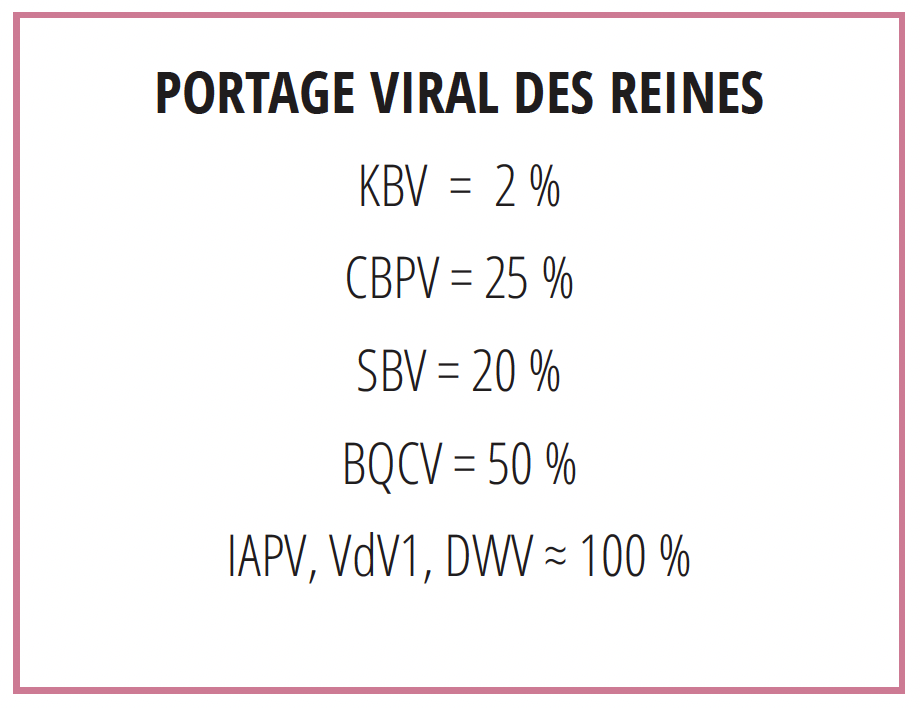 Portage viral des reines.