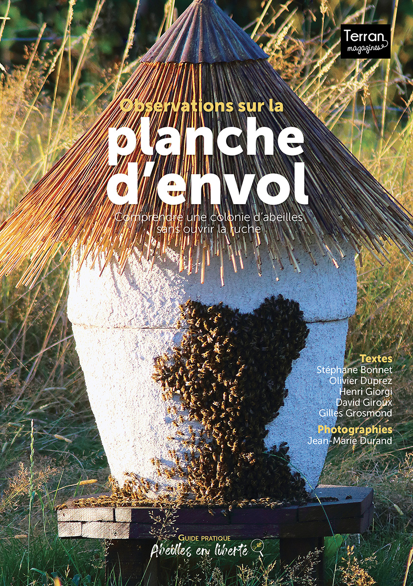 Couverture - Observations sur la planche d'envol