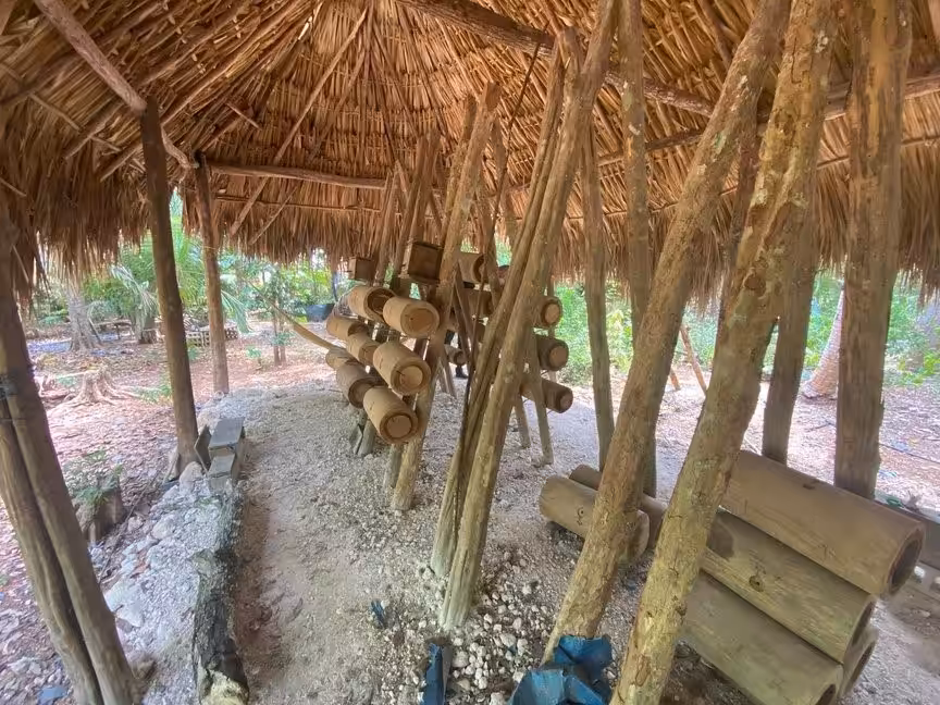 Élevage d’abeilles mélipones dans des troncs d’arbre creux (méliponaire), Escuela de Agricultura Ecológica U Yits Ka’an, Yucatán, Mexique. Photo © Spore Initiative