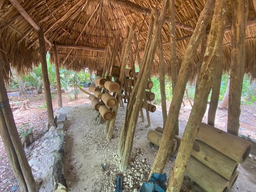 Élevage d’abeilles mélipones dans des troncs d’arbre creux (méliponaire), Escuela de Agricultura Ecológica U Yits Ka’an, Yucatán, Mexique. Photo © Spore Initiative